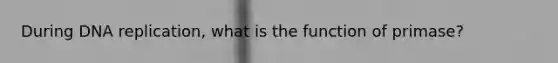 During DNA replication, what is the function of primase?