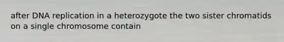 after DNA replication in a heterozygote the two sister chromatids on a single chromosome contain