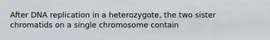 After DNA replication in a heterozygote, the two sister chromatids on a single chromosome contain