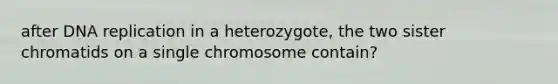 after DNA replication in a heterozygote, the two sister chromatids on a single chromosome contain?