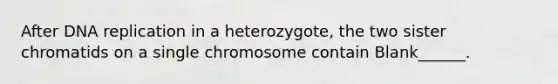 After DNA replication in a heterozygote, the two sister chromatids on a single chromosome contain Blank______.