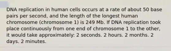 DNA replication in human cells occurs at a rate of about 50 base pairs per second, and the length of the longest human chromosome (chromosome 1) is 249 Mb. If DNA replication took place continuously from one end of chromosome 1 to the other, it would take approximately: 2 seconds. 2 hours. 2 months. 2 days. 2 minutes.