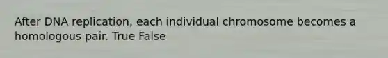 After DNA replication, each individual chromosome becomes a homologous pair. True False