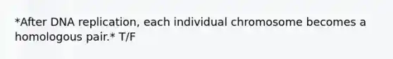 *After <a href='https://www.questionai.com/knowledge/kofV2VQU2J-dna-replication' class='anchor-knowledge'>dna replication</a>, each individual chromosome becomes a homologous pair.* T/F