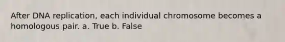 After DNA replication, each individual chromosome becomes a homologous pair. a. True b. False