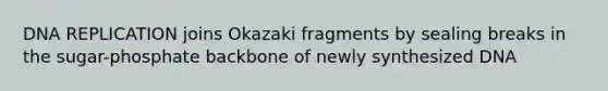 DNA REPLICATION joins Okazaki fragments by sealing breaks in the sugar-phosphate backbone of newly synthesized DNA