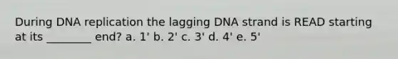 During DNA replication the lagging DNA strand is READ starting at its ________ end? a. 1' b. 2' c. 3' d. 4' e. 5'