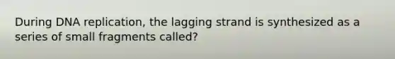 During DNA replication, the lagging strand is synthesized as a series of small fragments called?