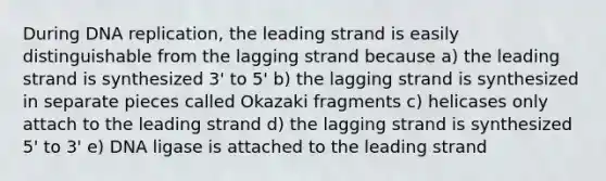 During <a href='https://www.questionai.com/knowledge/kofV2VQU2J-dna-replication' class='anchor-knowledge'>dna replication</a>, the leading strand is easily distinguishable from the lagging strand because a) the leading strand is synthesized 3' to 5' b) the lagging strand is synthesized in separate pieces called Okazaki fragments c) helicases only attach to the leading strand d) the lagging strand is synthesized 5' to 3' e) DNA ligase is attached to the leading strand