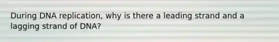 During DNA replication, why is there a leading strand and a lagging strand of DNA?