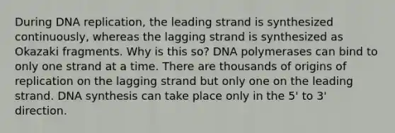 During <a href='https://www.questionai.com/knowledge/kofV2VQU2J-dna-replication' class='anchor-knowledge'>dna replication</a>, the leading strand is synthesized continuously, whereas the lagging strand is synthesized as Okazaki fragments. Why is this so? DNA polymerases can bind to only one strand at a time. There are thousands of origins of replication on the lagging strand but only one on the leading strand. DNA synthesis can take place only in the 5' to 3' direction.