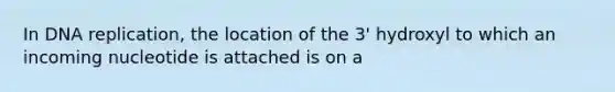 In DNA replication, the location of the 3' hydroxyl to which an incoming nucleotide is attached is on a