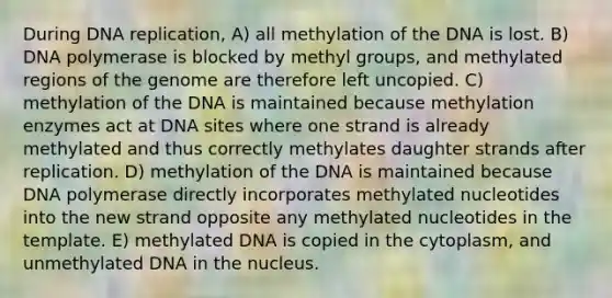 During DNA replication, A) all methylation of the DNA is lost. B) DNA polymerase is blocked by methyl groups, and methylated regions of the genome are therefore left uncopied. C) methylation of the DNA is maintained because methylation enzymes act at DNA sites where one strand is already methylated and thus correctly methylates daughter strands after replication. D) methylation of the DNA is maintained because DNA polymerase directly incorporates methylated nucleotides into the new strand opposite any methylated nucleotides in the template. E) methylated DNA is copied in the cytoplasm, and unmethylated DNA in the nucleus.