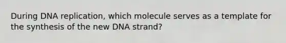 During <a href='https://www.questionai.com/knowledge/kofV2VQU2J-dna-replication' class='anchor-knowledge'>dna replication</a>, which molecule serves as a template for the synthesis of the new DNA strand?