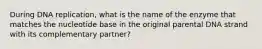 During DNA replication, what is the name of the enzyme that matches the nucleotide base in the original parental DNA strand with its complementary partner?