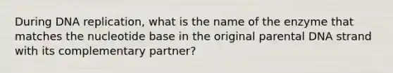 During DNA replication, what is the name of the enzyme that matches the nucleotide base in the original parental DNA strand with its complementary partner?