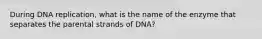 During DNA replication, what is the name of the enzyme that separates the parental strands of DNA?