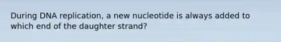 During DNA replication, a new nucleotide is always added to which end of the daughter strand?