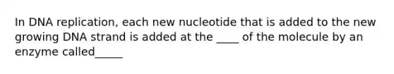 In DNA replication, each new nucleotide that is added to the new growing DNA strand is added at the ____ of the molecule by an enzyme called_____