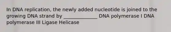 In DNA replication, the newly added nucleotide is joined to the growing DNA strand by ______________ DNA polymerase I DNA polymerase III Ligase Helicase