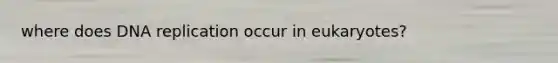 where does DNA replication occur in eukaryotes?