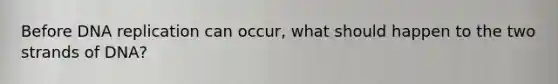 Before DNA replication can occur, what should happen to the two strands of DNA?