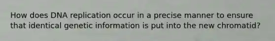 How does DNA replication occur in a precise manner to ensure that identical genetic information is put into the new chromatid?
