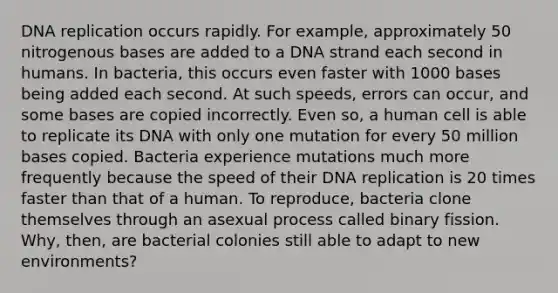 DNA replication occurs rapidly. For example, approximately 50 nitrogenous bases are added to a DNA strand each second in humans. In bacteria, this occurs even faster with 1000 bases being added each second. At such speeds, errors can occur, and some bases are copied incorrectly. Even so, a human cell is able to replicate its DNA with only one mutation for every 50 million bases copied. Bacteria experience mutations much more frequently because the speed of their DNA replication is 20 times faster than that of a human. To reproduce, bacteria clone themselves through an asexual process called binary fission. Why, then, are bacterial colonies still able to adapt to new environments?