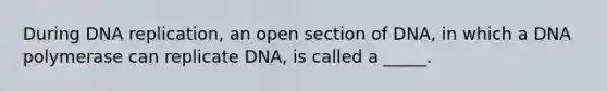 During DNA replication, an open section of DNA, in which a DNA polymerase can replicate DNA, is called a _____.