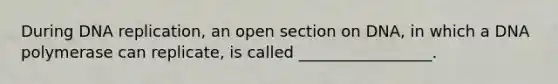 During DNA replication, an open section on DNA, in which a DNA polymerase can replicate, is called _________________.