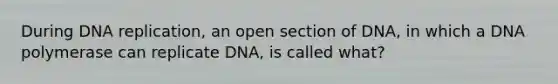 During DNA replication, an open section of DNA, in which a DNA polymerase can replicate DNA, is called what?