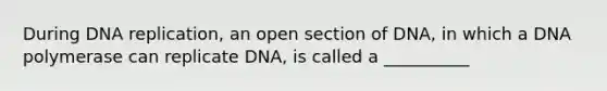 During DNA replication, an open section of DNA, in which a DNA polymerase can replicate DNA, is called a __________