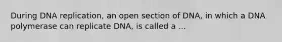 During <a href='https://www.questionai.com/knowledge/kofV2VQU2J-dna-replication' class='anchor-knowledge'>dna replication</a>, an open section of DNA, in which a DNA polymerase can replicate DNA, is called a ...