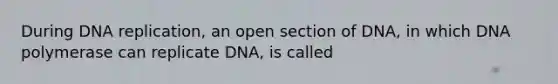 During <a href='https://www.questionai.com/knowledge/kofV2VQU2J-dna-replication' class='anchor-knowledge'>dna replication</a>, an open section of DNA, in which DNA polymerase can replicate DNA, is called