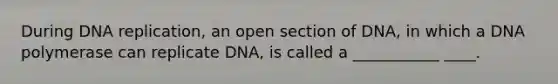 During DNA replication, an open section of DNA, in which a DNA polymerase can replicate DNA, is called a ___________ ____.