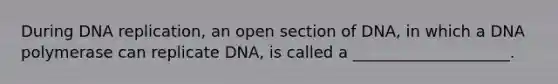 During <a href='https://www.questionai.com/knowledge/kofV2VQU2J-dna-replication' class='anchor-knowledge'>dna replication</a>, an open section of DNA, in which a DNA polymerase can replicate DNA, is called a ____________________.