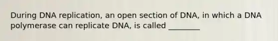 During DNA replication, an open section of DNA, in which a DNA polymerase can replicate DNA, is called ________