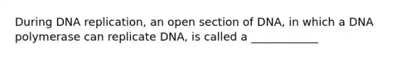 During DNA replication, an open section of DNA, in which a DNA polymerase can replicate DNA, is called a ____________