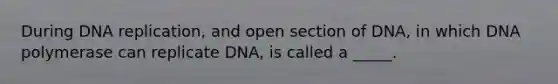 During <a href='https://www.questionai.com/knowledge/kofV2VQU2J-dna-replication' class='anchor-knowledge'>dna replication</a>, and open section of DNA, in which DNA polymerase can replicate DNA, is called a _____.