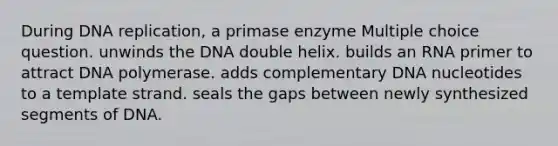 During <a href='https://www.questionai.com/knowledge/kofV2VQU2J-dna-replication' class='anchor-knowledge'>dna replication</a>, a primase enzyme Multiple choice question. unwinds the DNA double helix. builds an RNA primer to attract DNA polymerase. adds complementary DNA nucleotides to a template strand. seals the gaps between newly synthesized segments of DNA.