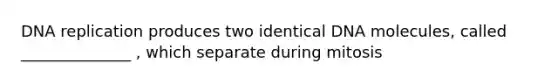 DNA replication produces two identical DNA molecules, called ______________ , which separate during mitosis