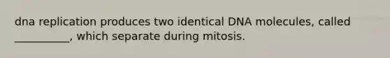 dna replication produces two identical DNA molecules, called __________, which separate during mitosis.