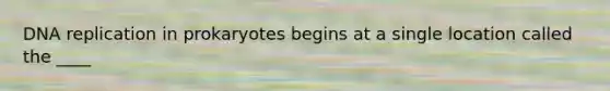 DNA replication in prokaryotes begins at a single location called the ____