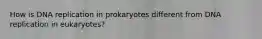 How is DNA replication in prokaryotes different from DNA replication in eukaryotes?