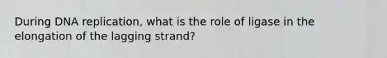 During DNA replication, what is the role of ligase in the elongation of the lagging strand?