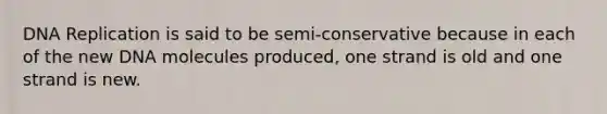 DNA Replication is said to be semi-conservative because in each of the new DNA molecules produced, one strand is old and one strand is new.