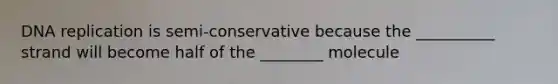 DNA replication is semi-conservative because the __________ strand will become half of the ________ molecule