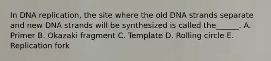 In DNA replication, the site where the old DNA strands separate and new DNA strands will be synthesized is called the______. A. Primer B. Okazaki fragment C. Template D. Rolling circle E. Replication fork