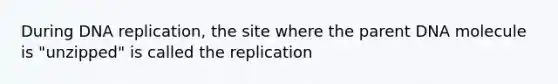 During <a href='https://www.questionai.com/knowledge/kofV2VQU2J-dna-replication' class='anchor-knowledge'>dna replication</a>, the site where the parent DNA molecule is "unzipped" is called the replication