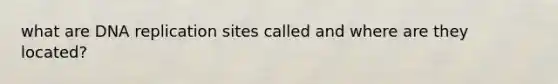 what are DNA replication sites called and where are they located?